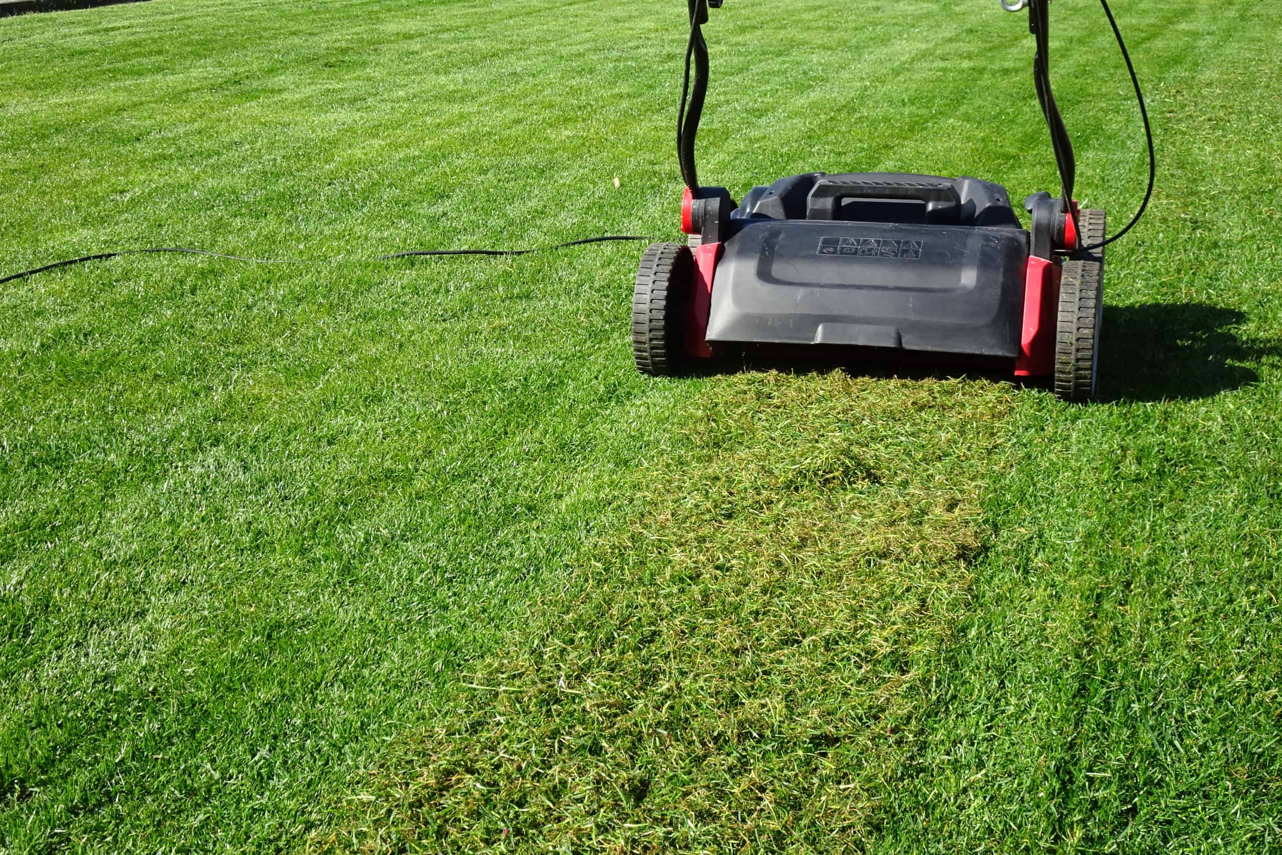 Tondeuse sur une pelouse parfaitement tondue avec des bandes